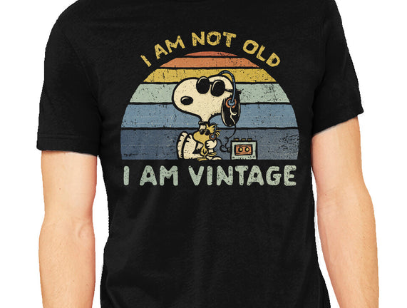 I Am Vintage