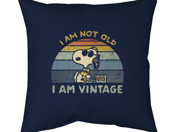 I Am Vintage