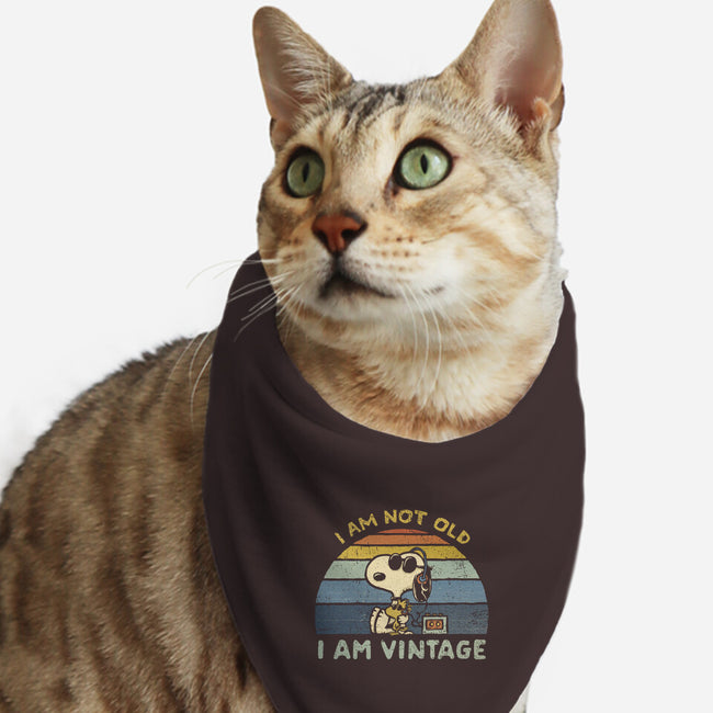 I Am Vintage-Cat-Bandana-Pet Collar-kg07