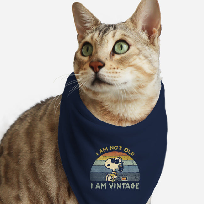 I Am Vintage-Cat-Bandana-Pet Collar-kg07