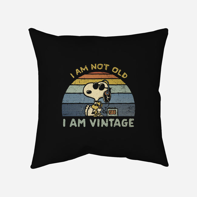 I Am Vintage-None-Non-Removable Cover w Insert-Throw Pillow-kg07