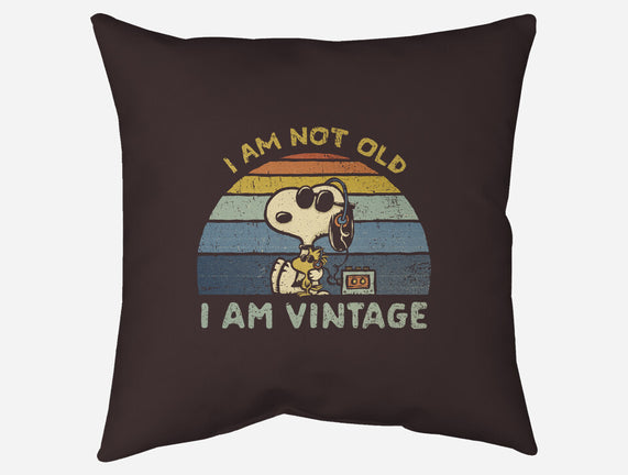 I Am Vintage