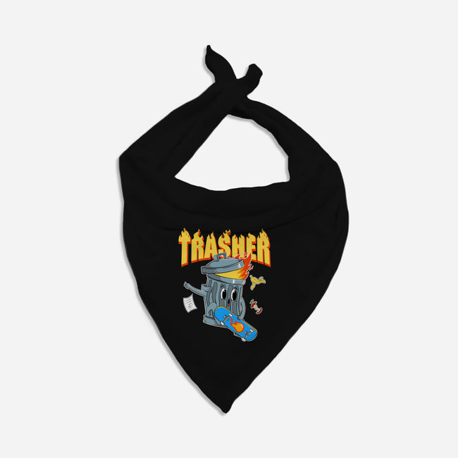 Trasher Skater-Cat-Bandana-Pet Collar-Tri haryadi