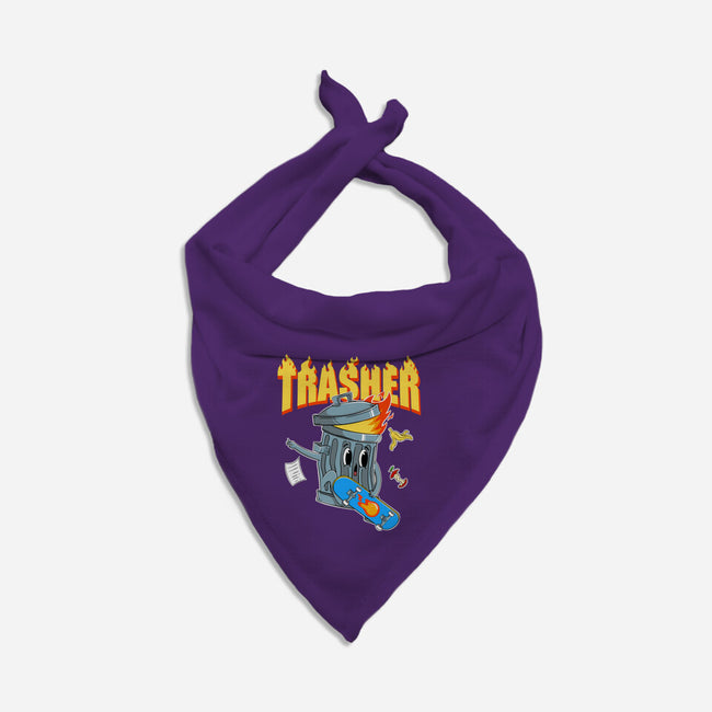 Trasher Skater-Cat-Bandana-Pet Collar-Tri haryadi