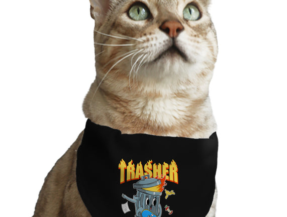 Trasher Skater