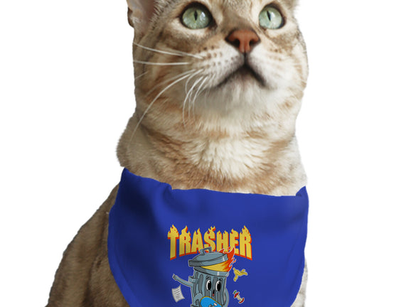 Trasher Skater