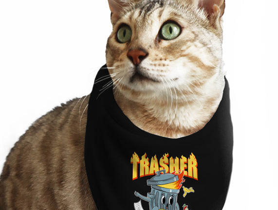 Trasher Skater