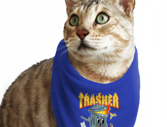 Trasher Skater