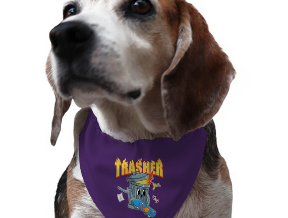 Trasher Skater