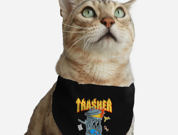 Trasher Skater