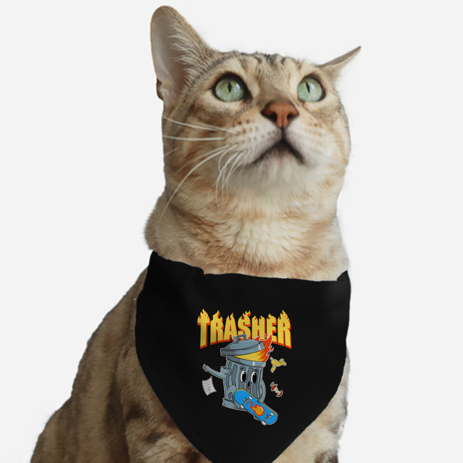 Trasher Skater-Cat-Adjustable-Pet Collar-Tri haryadi