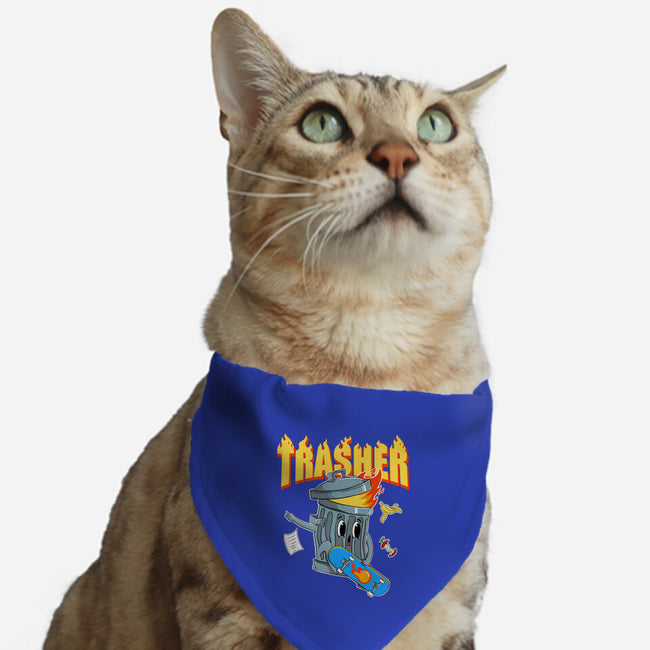 Trasher Skater-Cat-Adjustable-Pet Collar-Tri haryadi