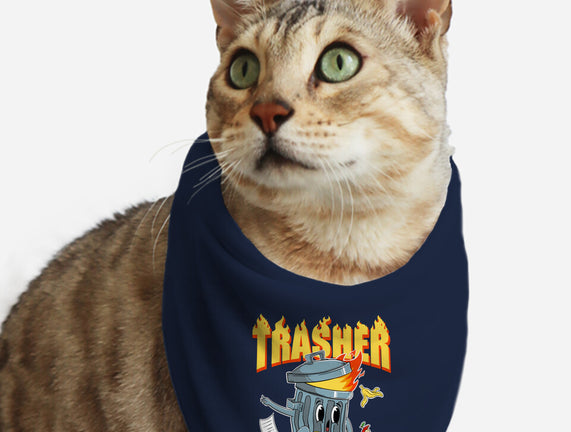 Trasher Skater