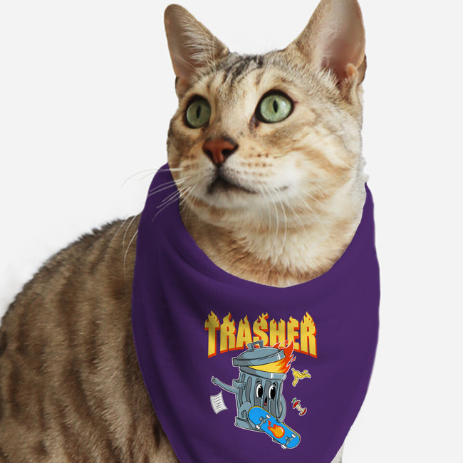 Trasher Skater-Cat-Bandana-Pet Collar-Tri haryadi