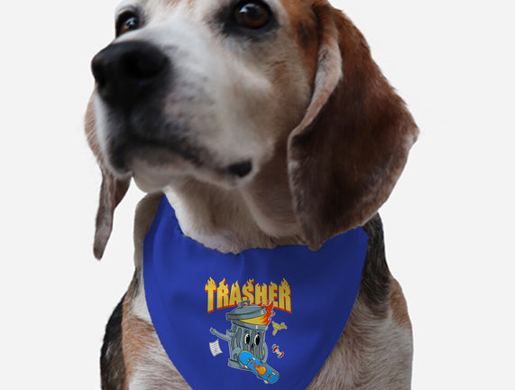 Trasher Skater