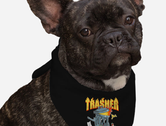 Trasher Skater