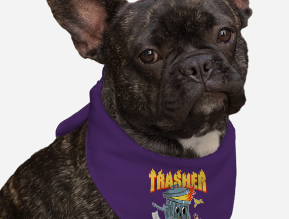 Trasher Skater