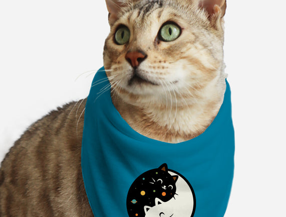 Space Kittens