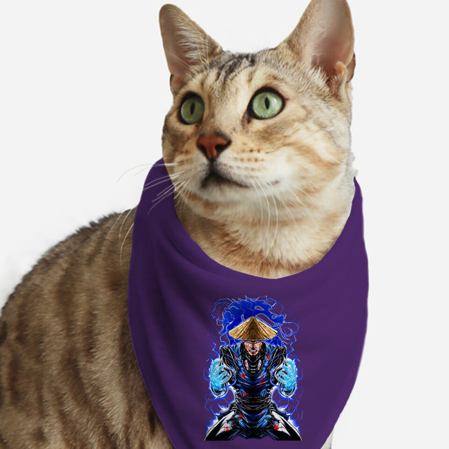 Mortal Fighter 2-Cat-Bandana-Pet Collar-Conjura Geek