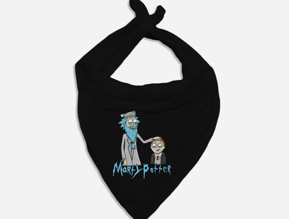 Morty Potter