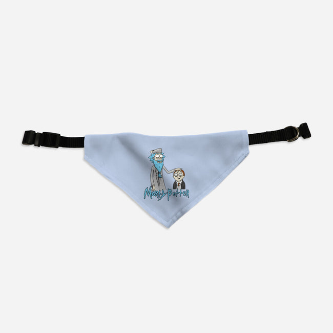 Morty Potter-Dog-Adjustable-Pet Collar-Umberto Vicente