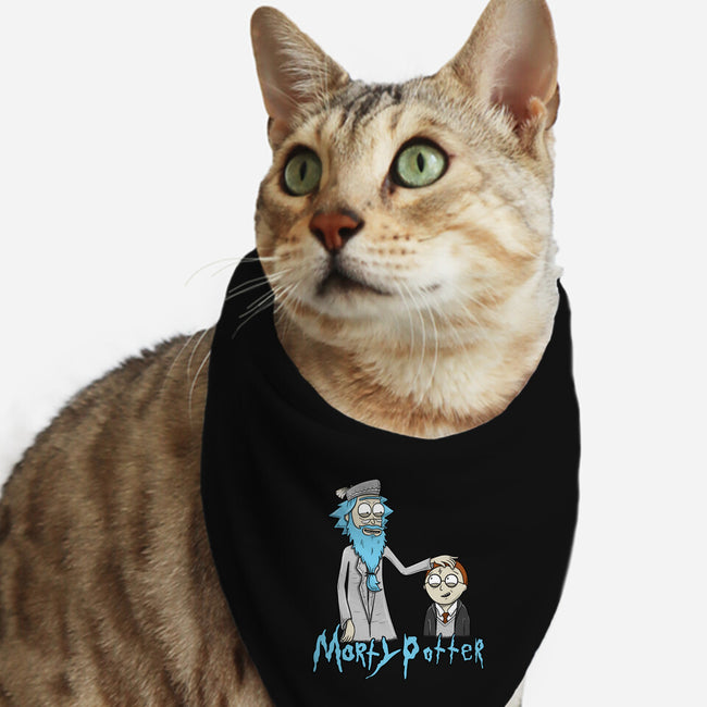 Morty Potter-Cat-Bandana-Pet Collar-Umberto Vicente