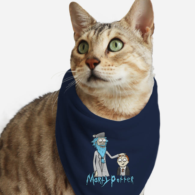 Morty Potter-Cat-Bandana-Pet Collar-Umberto Vicente