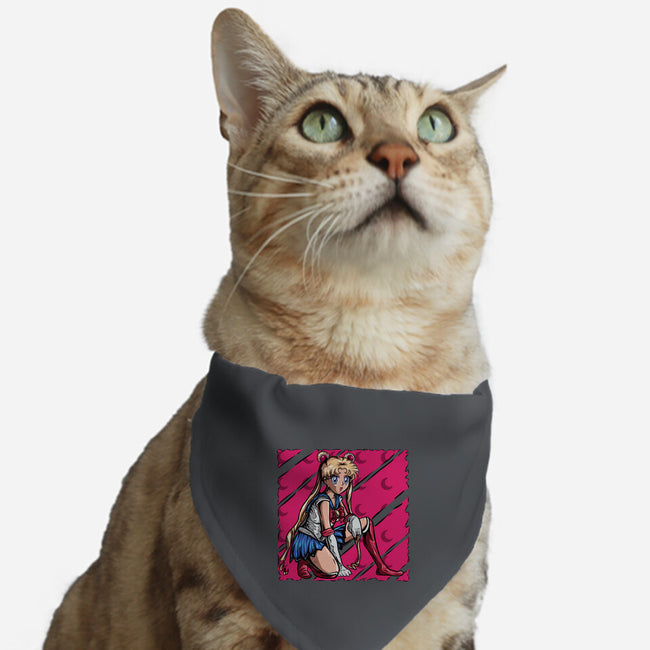 Pose Of Victory-Cat-Adjustable-Pet Collar-nickzzarto