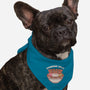 Bunny Banana Split-Dog-Bandana-Pet Collar-tobefonseca