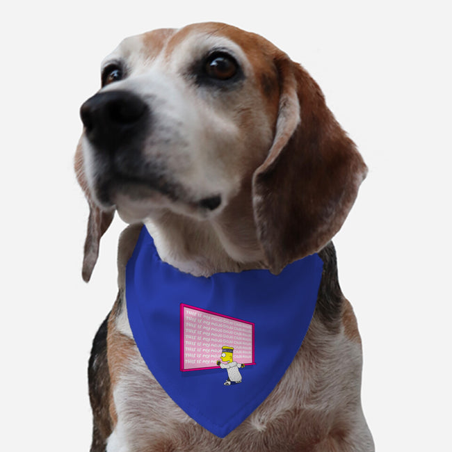 Mojo Dojo-Dog-Adjustable-Pet Collar-MarianoSan