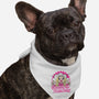 Destroy The Patriarchy-Dog-Bandana-Pet Collar-Aarons Art Room