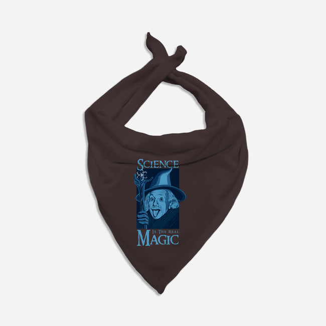 Science Is The Real Magic-Cat-Bandana-Pet Collar-sachpica