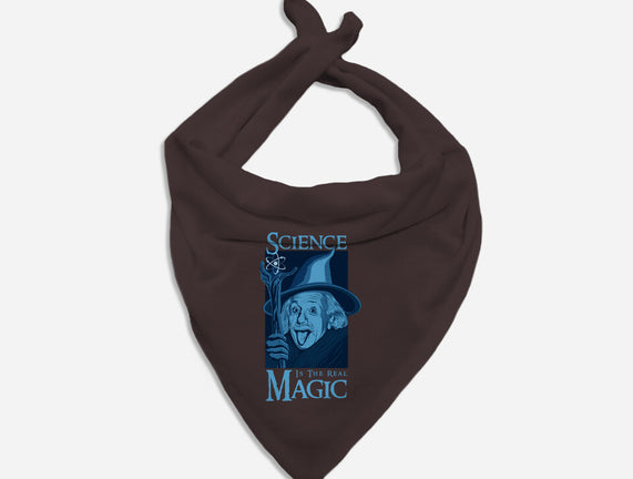 Science Is The Real Magic