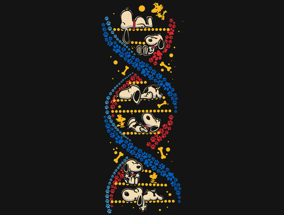 Beagles DNA