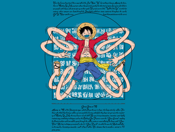 Vitruvian Luffy