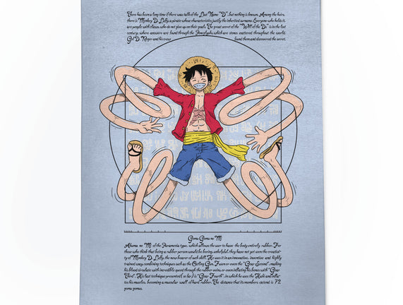 Vitruvian Luffy