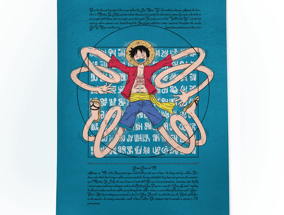 Vitruvian Luffy