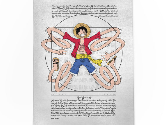 Vitruvian Luffy