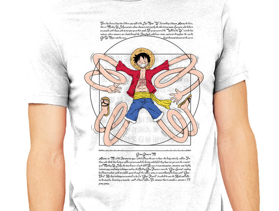 Vitruvian Luffy