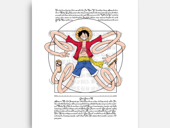 Vitruvian Luffy