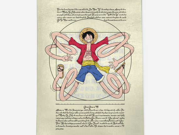 Vitruvian Luffy