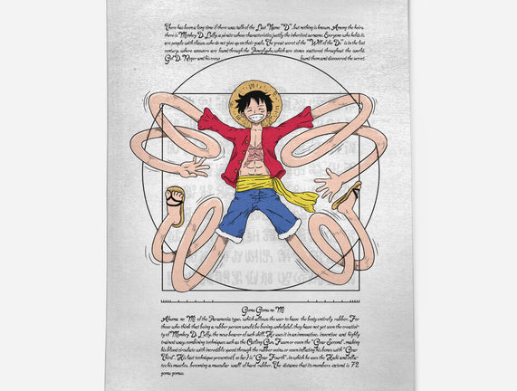 Vitruvian Luffy