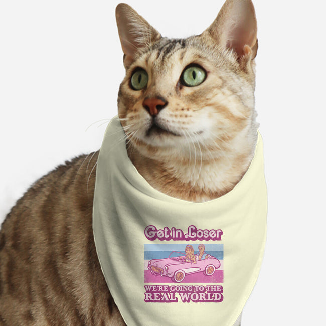 We're Going To The Real World-Cat-Bandana-Pet Collar-kg07