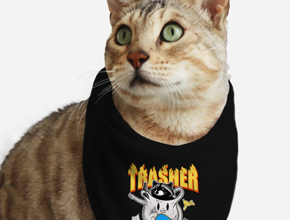 Trasher Panda