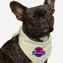 Barbieland-Dog-Bandana-Pet Collar-spoilerinc