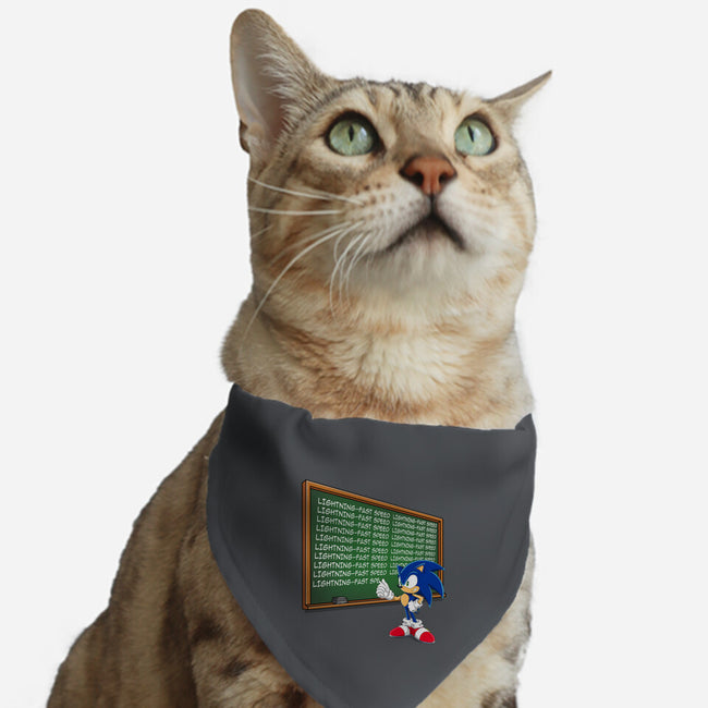 Lightning-Fast Speed-Cat-Adjustable-Pet Collar-MaxoArt