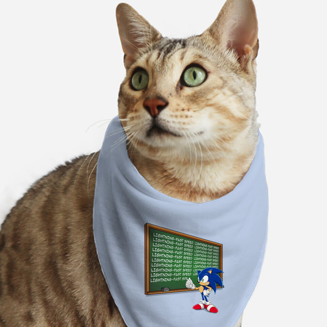 Lightning-Fast Speed-Cat-Bandana-Pet Collar-MaxoArt