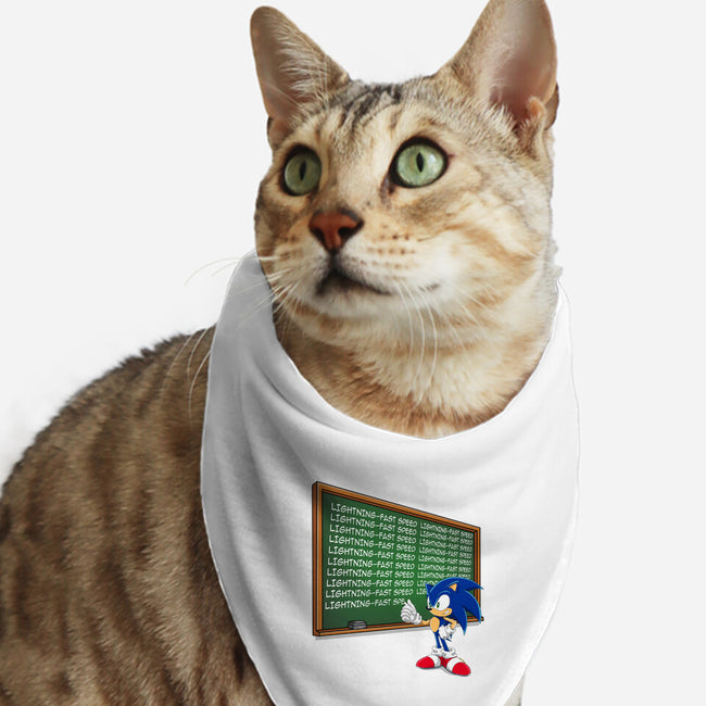 Lightning-Fast Speed-Cat-Bandana-Pet Collar-MaxoArt