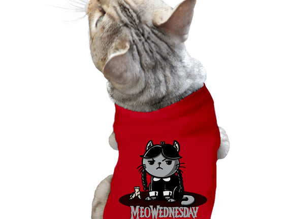 Meowednesday