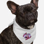 Please Go Away-Dog-Bandana-Pet Collar-Alexhefe